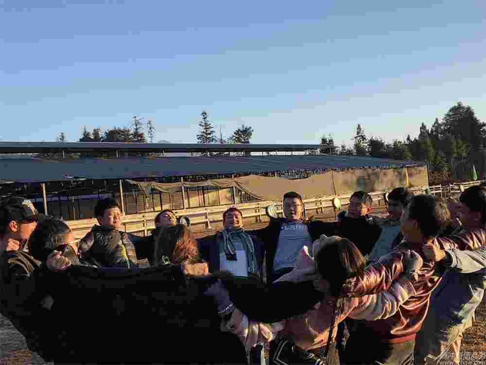 團隊建設(shè)、熔煉凝聚力
